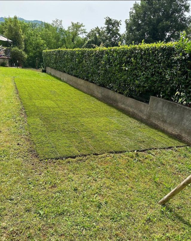 giardinaggio a vicenza